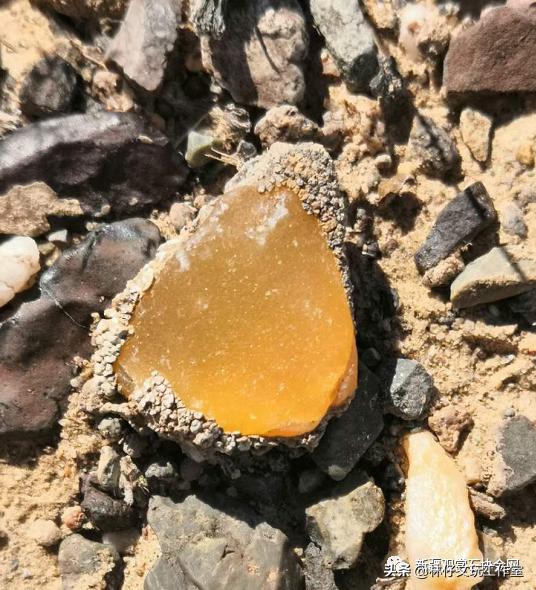 最好的新疆金丝玉,纯正金丝玉