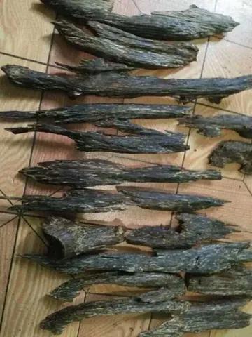 林姐聊财商,林姐聊情感