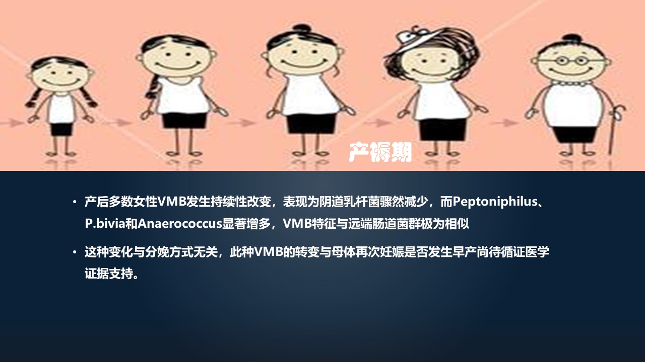 肖冰冰,肖冰冰的创作