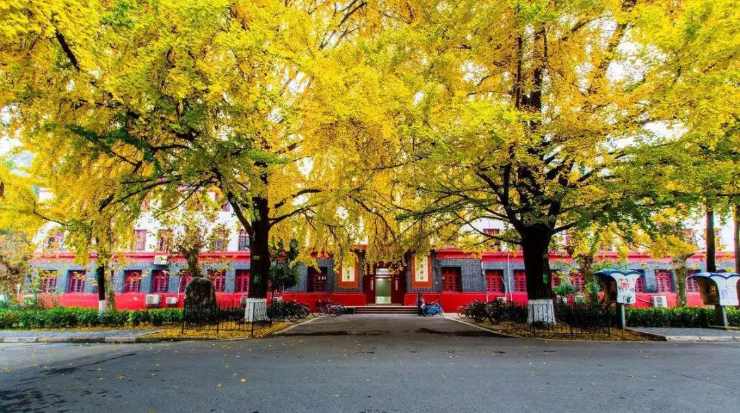 川大考研需要什么条件,川大考研需要准备哪些