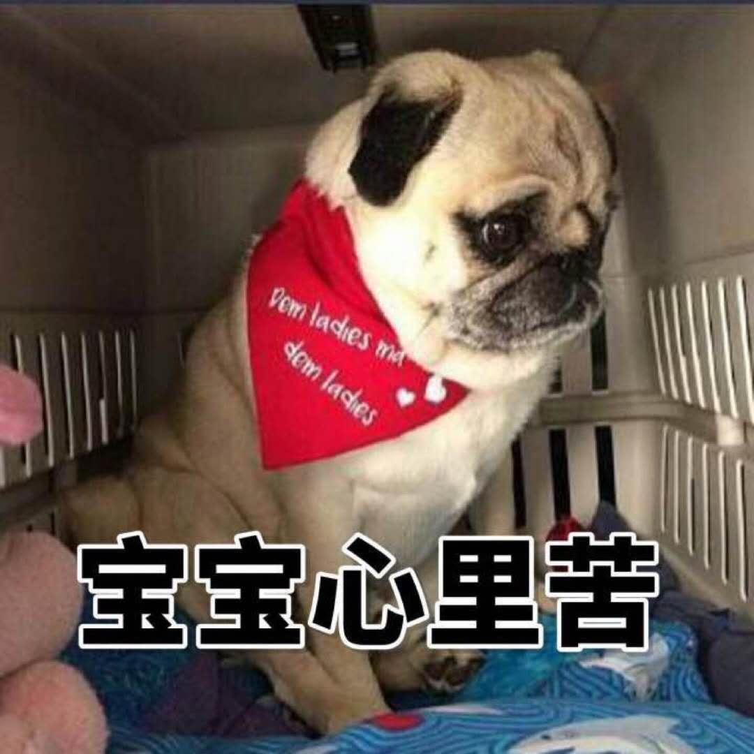 家庭主妇怎么快速赚钱,在家带娃宝妈如何赚钱