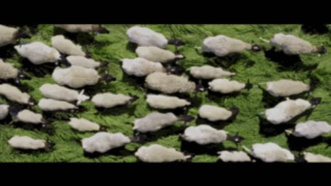 不用农药，让超1000种动植物生态平衡，这次美国人真的做到了