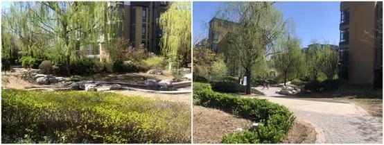 东坝常青藤二手房为啥涨,东坝二手房升值潜力