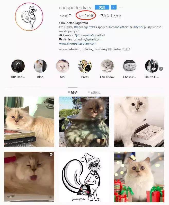 老佛爷的猫继承多少遗产,老佛爷去世了猫继承了多少遗产