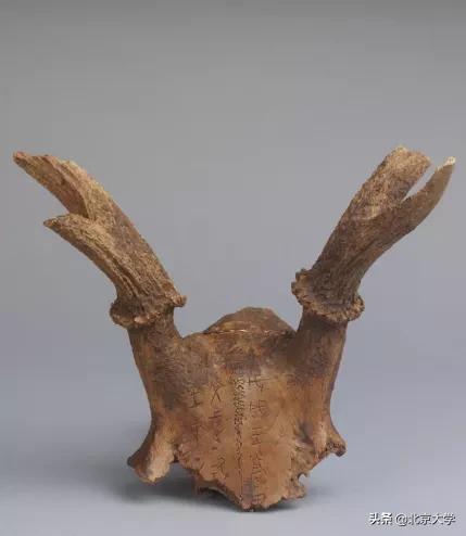 北大中文核心期刊,北大中文创意写作