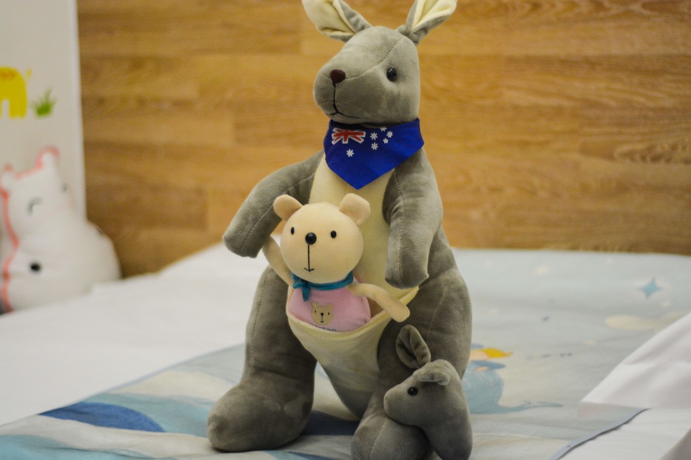 宋城千古情哪个区好,宋城千古情哪排的位置好