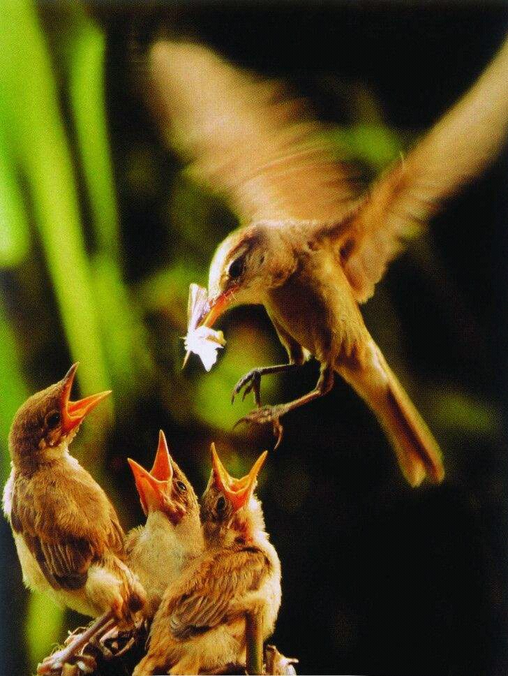 如果你的亲人欺负你怎么办,如果你的亲人恨你入骨怎么办