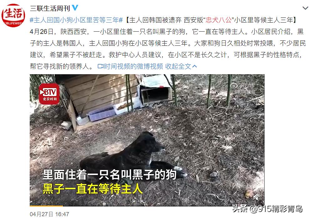 虐猫人士杀死中国留学生案件,虐猫者杀害中国留学生