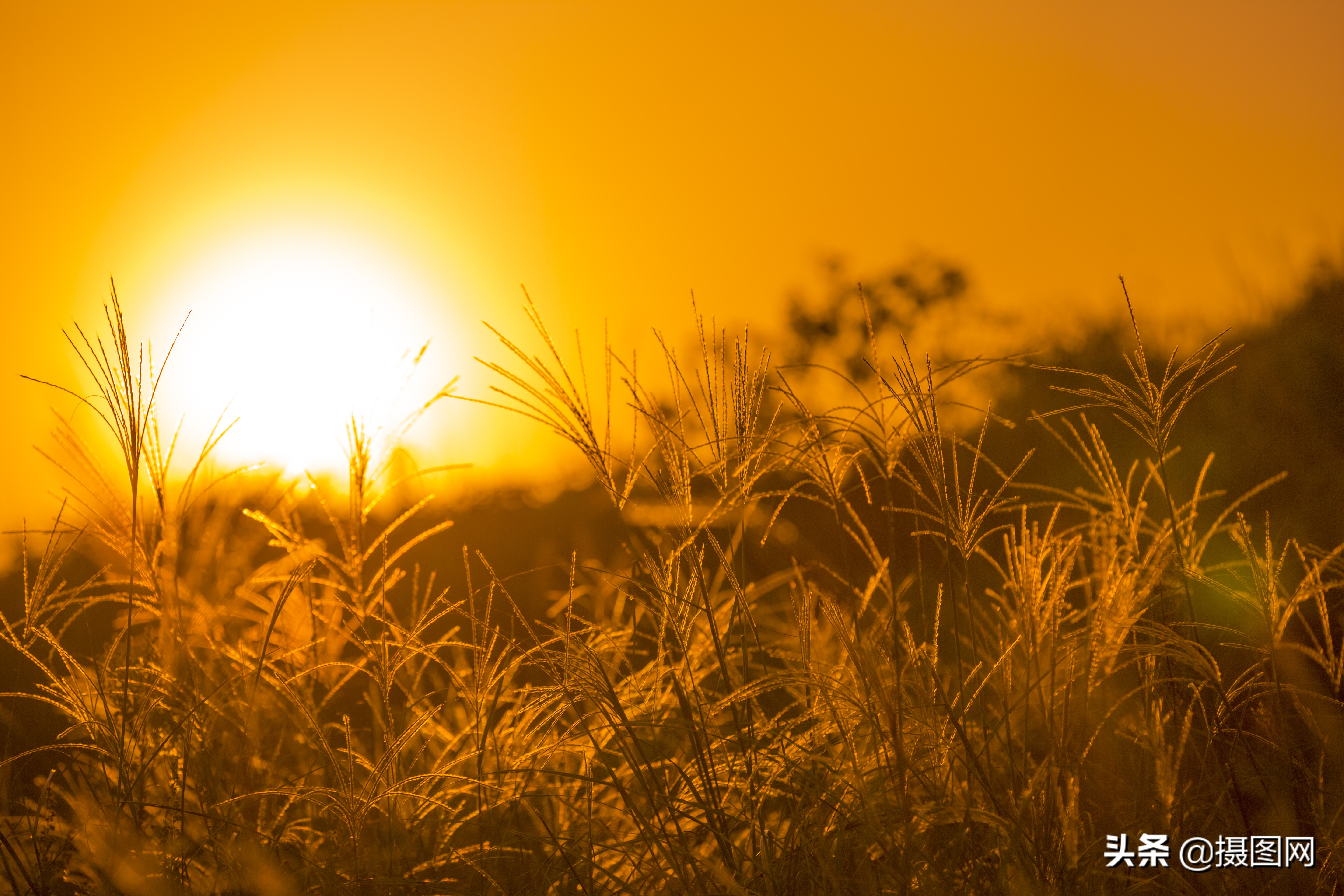 电脑壁纸超清壁纸竖屏,电脑壁纸高清全屏高级感电脑