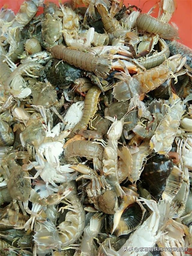 唐山月坨岛009号别墅农家院（原乐亭三岛幸福农家院）享休闲时光