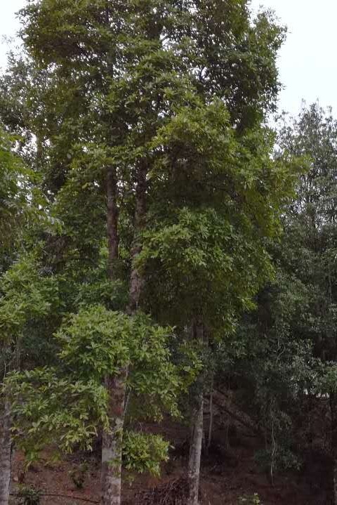 汪么屯人钱途门路多