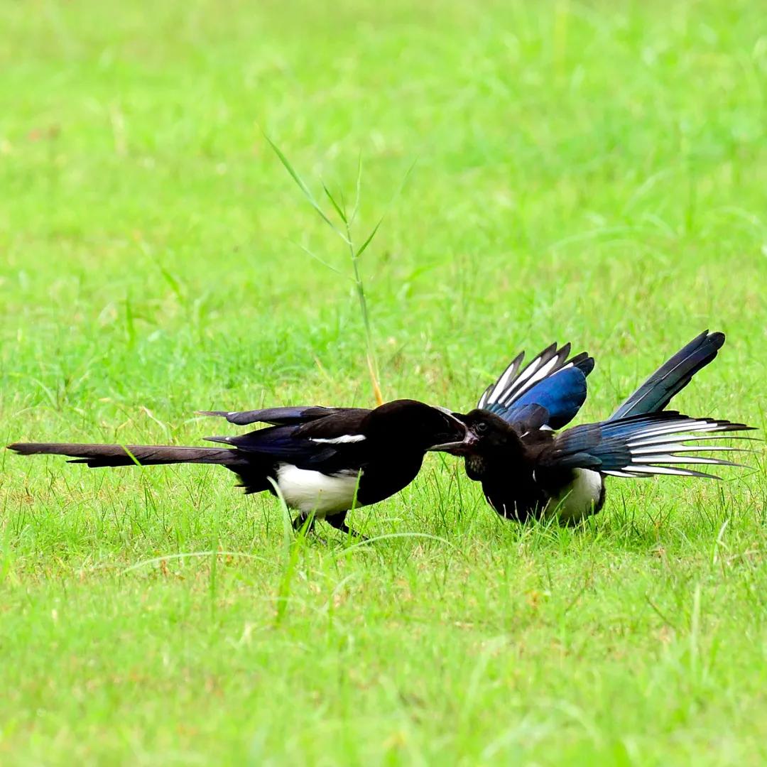 合肥融创茂宝藏秘境,合肥宝藏地