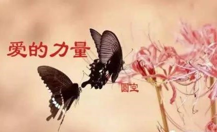 硅谷禁书24堂励志课,硅谷禁书的读书心得