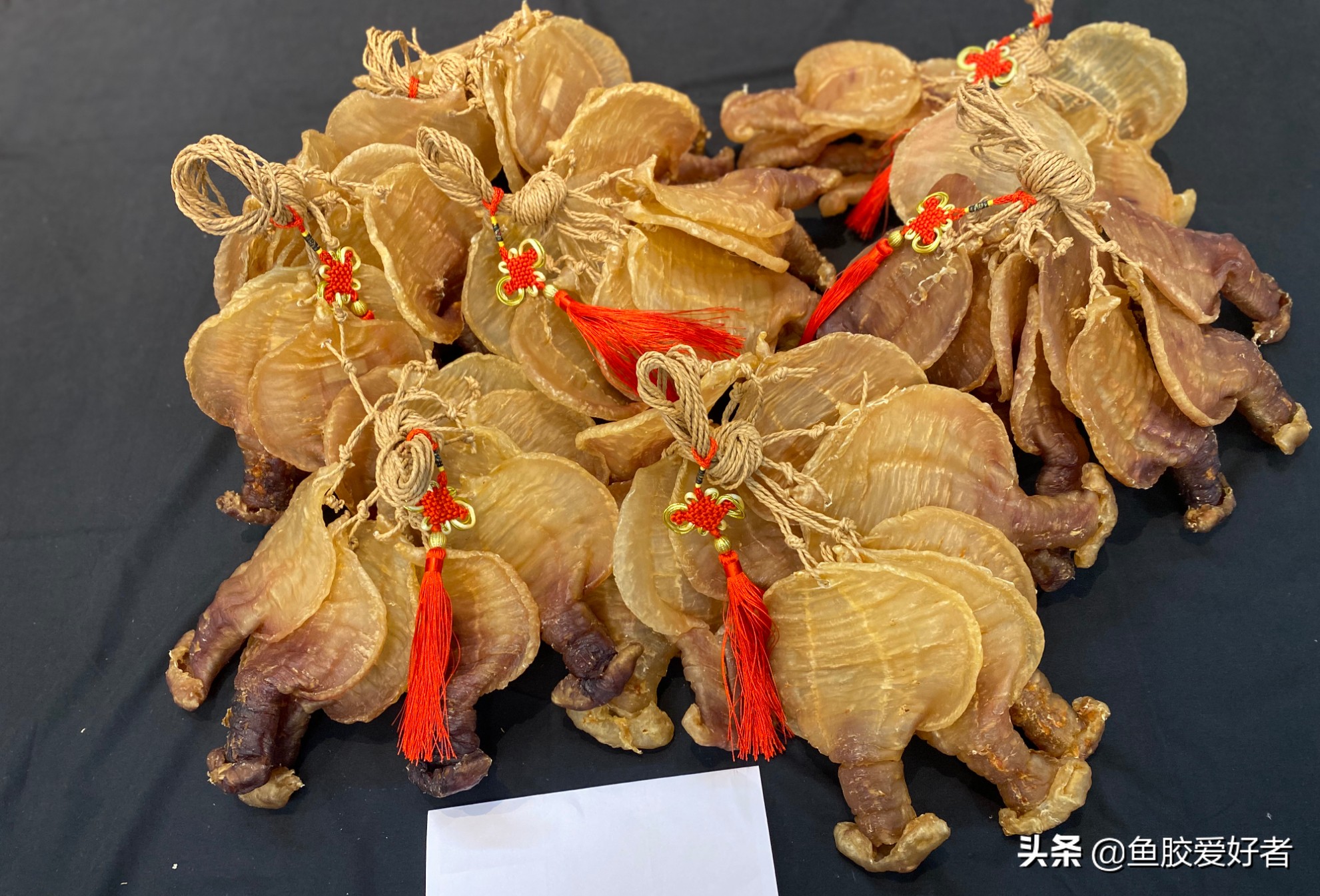 初次接触鱼胶怎么选,买鱼胶要注意什么