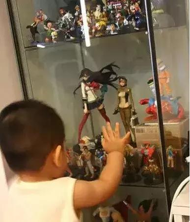 一面墙的手办值一套房,一整面墙的手办