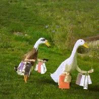 意外险买完可以退吗,意外险买全家共享的还是个人的好