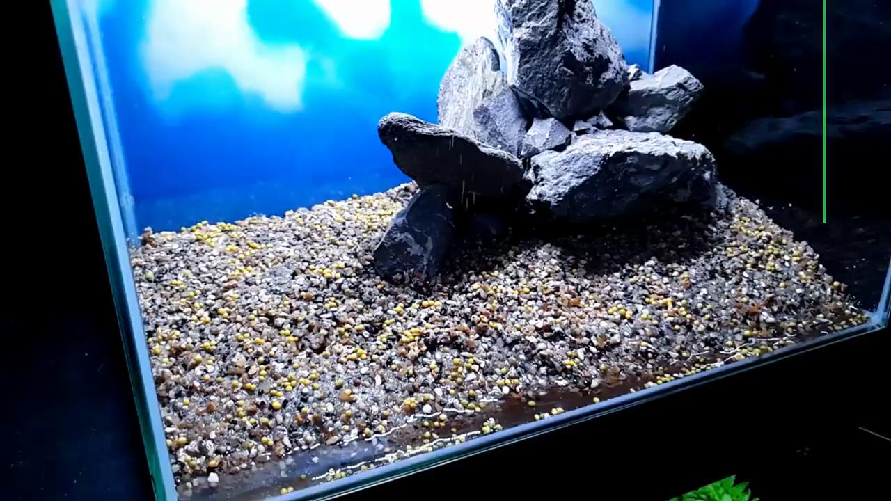 石头观赏鱼缸建造图,4块石头造景20缸