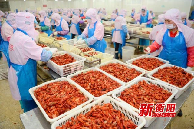 益阳南县探索生态型旅游+产业致富路