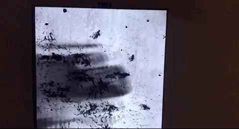 最大的艺术展,中国最大的数字艺术展览