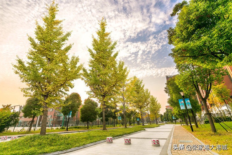 大学绝美秋景,最美的秋色美景