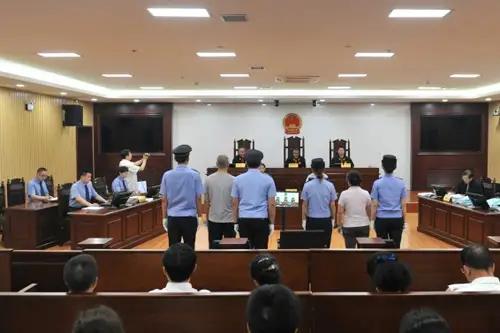 曲婉婷人生经历,为什么让曲婉婷回国参加节目