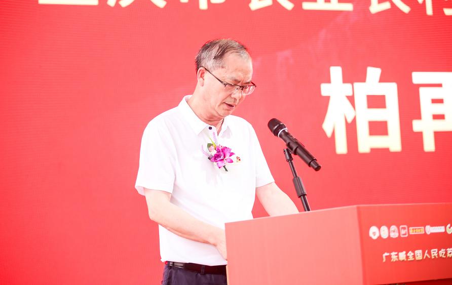 C位出道亮相山城！连续霸榜的广东荔枝到底有啥魔力？