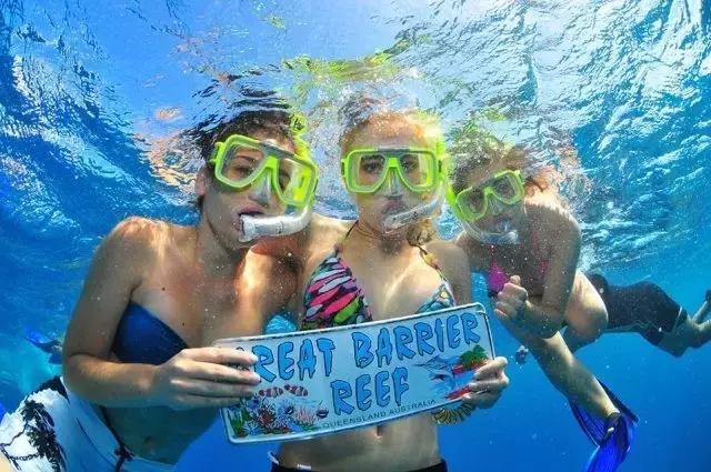 去澳大利亚需要学会什么技能,第一次出国去澳大利亚怎么玩