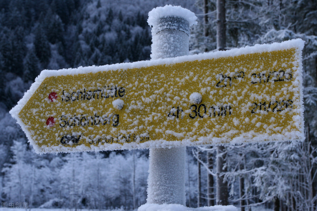 君子兰冻伤严重怎么办,严重冻伤为什么一定要截肢