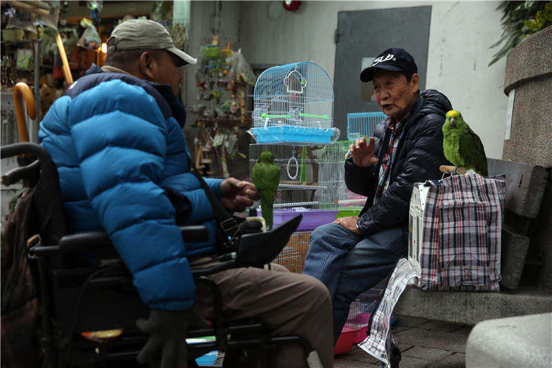 乌龟被吃了壳碎了,乌龟被螃蟹吃成骨架