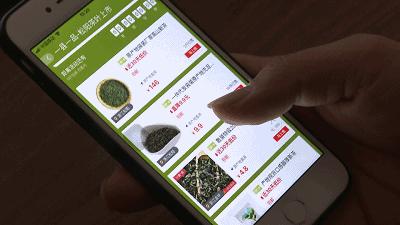 松阳香茶直播会,松阳香茶合作