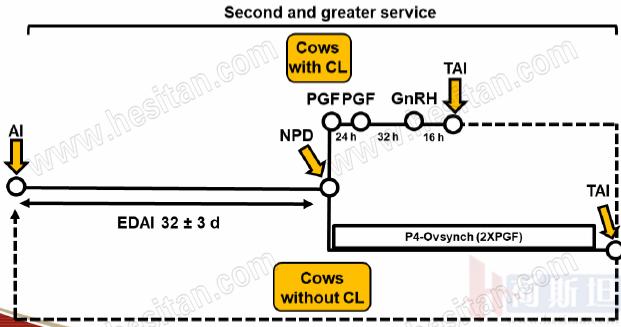 康奈尔大学JulioGiordano:如何通过技术整合优化繁殖性能