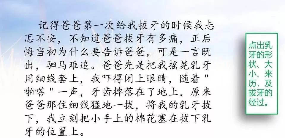 部编五上我的心爱之物作文,五上语文我的心爱之物范文