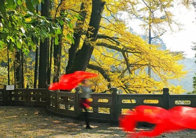 浙江各地市误解,你以为的临安vs实际上的临安