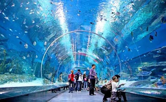 推荐上海地铁能乘到的游玩景点,上海地铁可直达的旅游景点