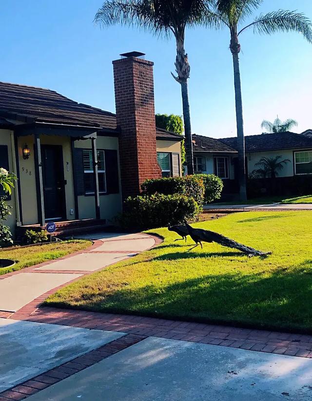 有时候使人疲惫的不是远方的高山,让人疲惫的不是远山而是鞋里的沙