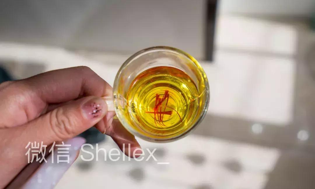 环球旅行我学会了什么,环球旅行一年