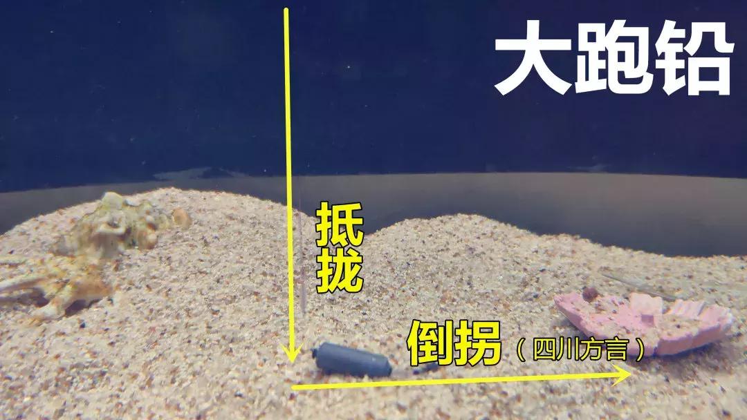 野钓调漂基础知识大全,野钓调漂最佳方法解读