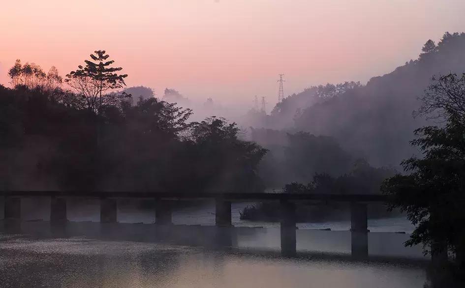 探秘广西巴马长寿之旅,广西巴马长寿探秘之旅