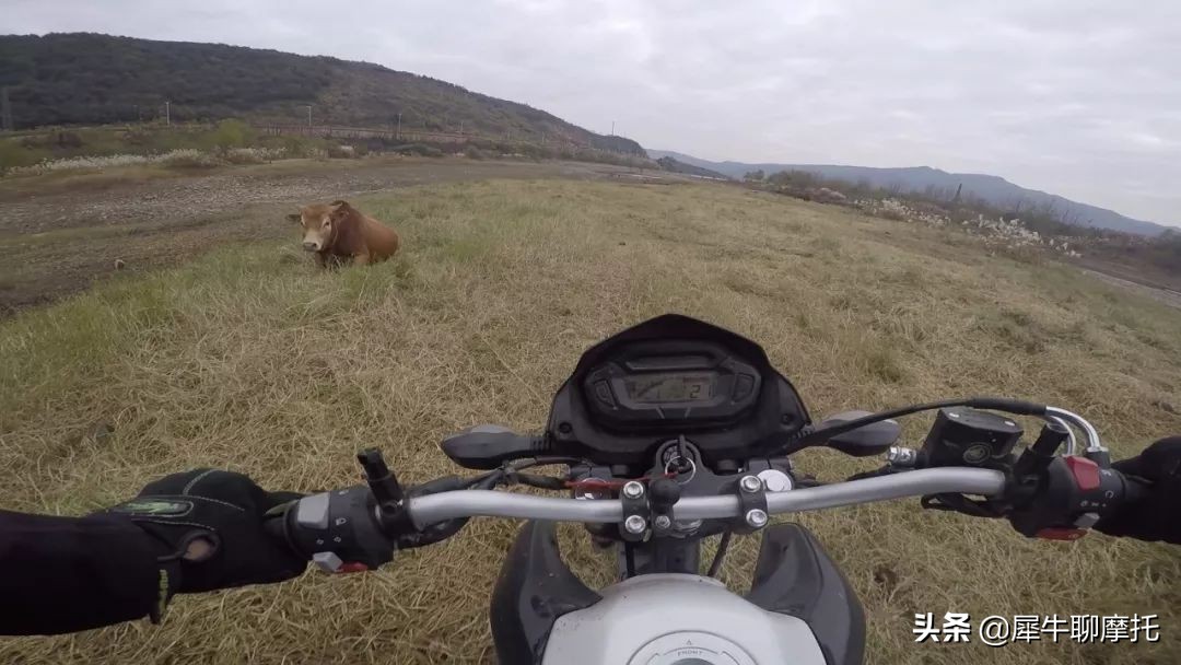 17款nk150极速,1万左右的nk150