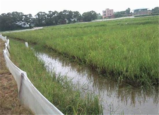 稻田虾蟹混养高产技术,稻田混养