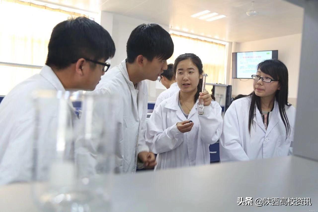 西安培华学院是什么学院,西安培华学院有几个学院