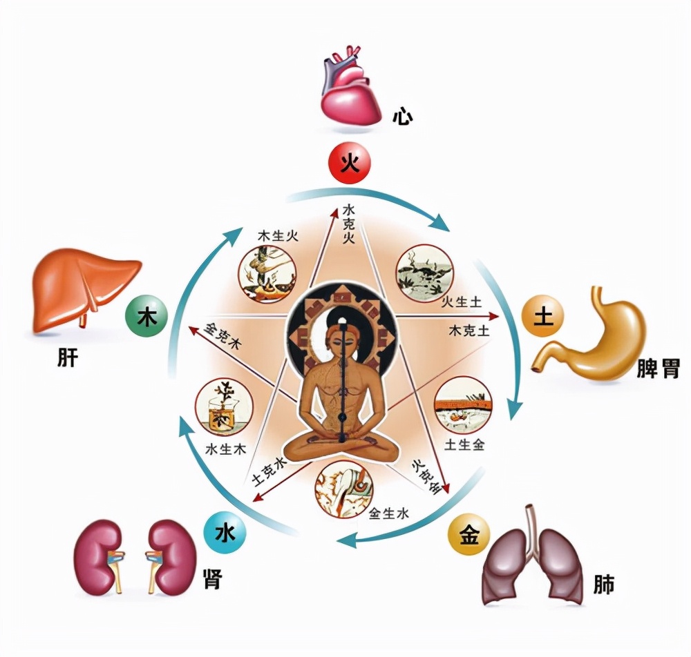 薏米能祛体内湿气吗,薏米真的能除去体内湿气吗