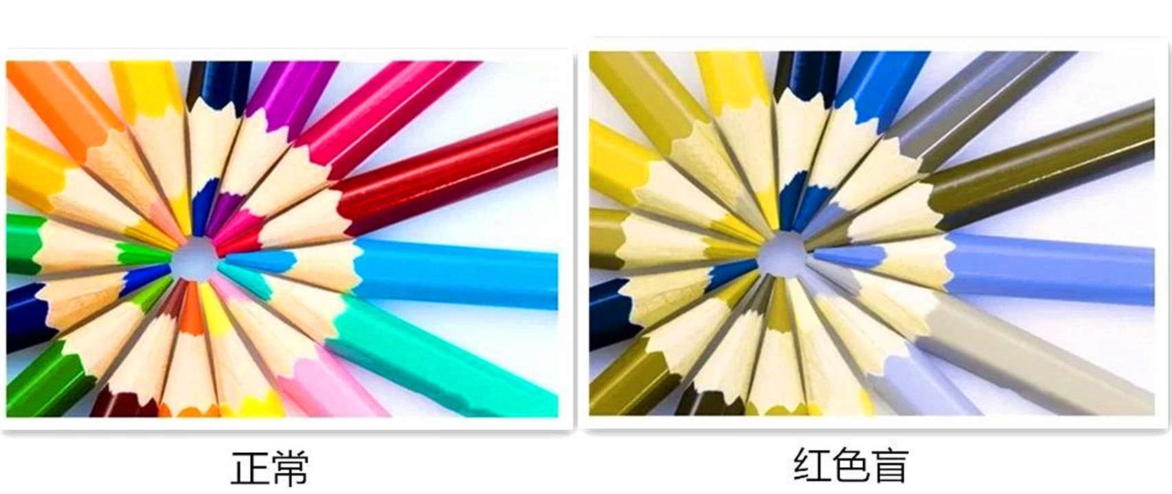 色盲与正常人眼中的世界的区别,色盲和普通人眼中的世界对比
