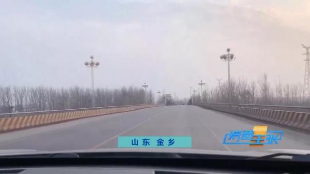 今日全国洋葱最新价格行情新闻,进口洋葱价格表