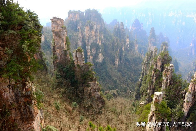 张家界森林公园亲子游攻略,张家界旅游攻略现在张家界气温