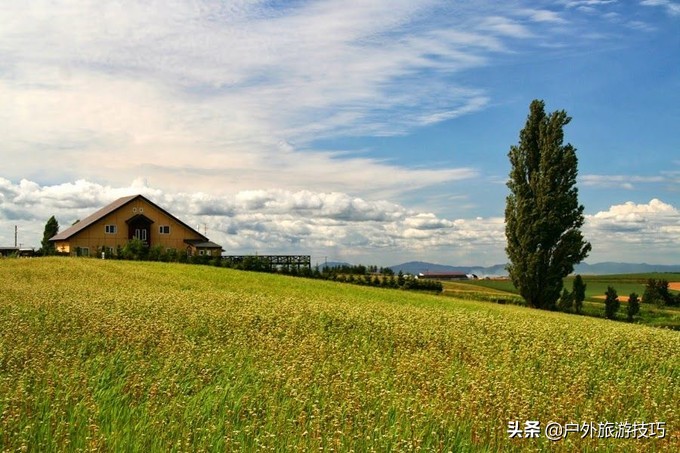 日本北海道富良野骑行攻略，试过在花田、花海中骑行吗？