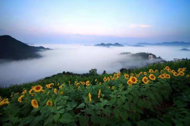 文房四宝产地歙县～盆景徽剧之乡～高山土楼梯田