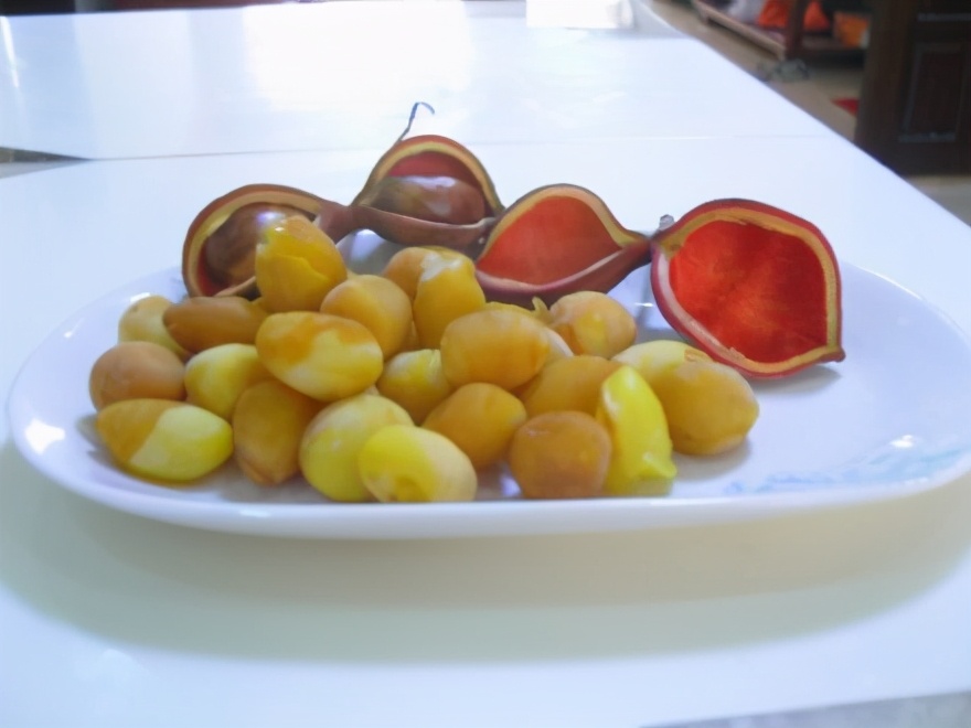 野生凤眼果图片,广西凤眼果