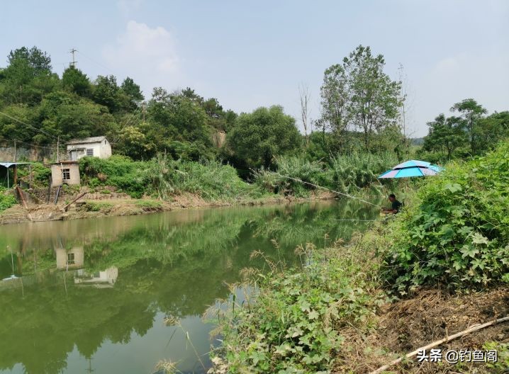 可视鱼钩单钩与双钩哪个中鱼率高,鱼钩单钩与双钩哪个中鱼率高