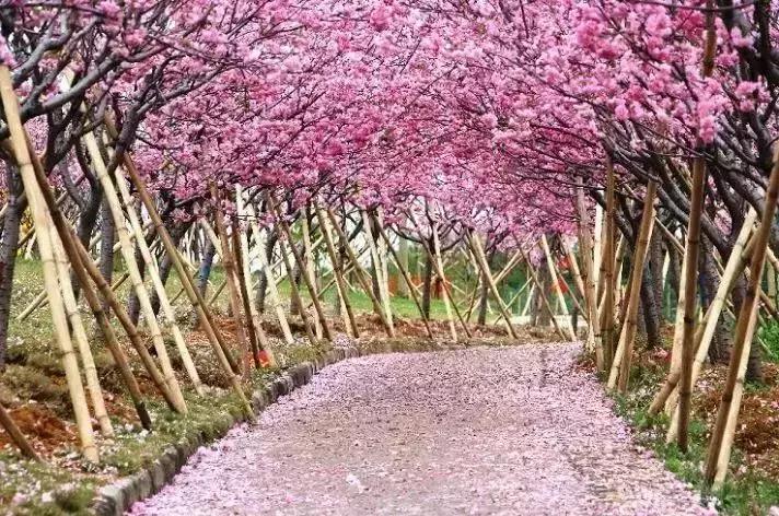 广东温泉酒店推荐带恒温泳池,广东从化顶级温泉酒店
